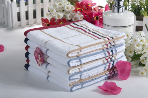 浙江洁丽雅股份